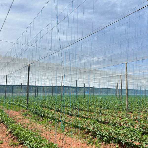 Net house construction 5