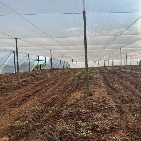 Net house construction 7