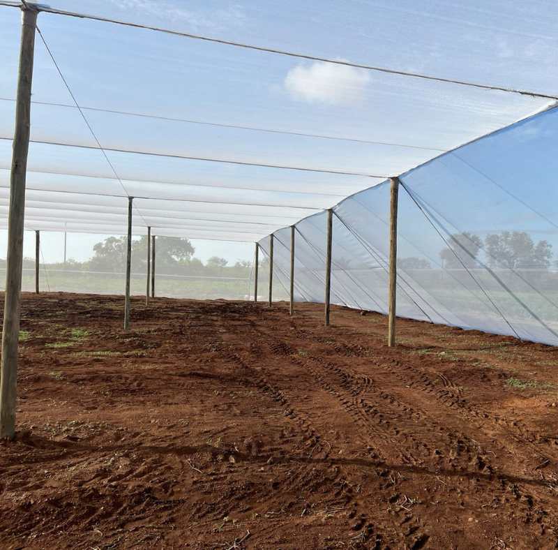 Net house construction 3